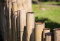 Old bamboo fence in a tropical country. Texture background Royalty Free Stock Photo