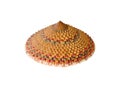 Old bamboo hat weaving pattern isolated on white background , clipping path Royalty Free Stock Photo