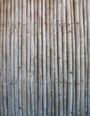 Old bamboo panel background Royalty Free Stock Photo