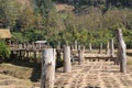 Bamboo pathway on rice fields