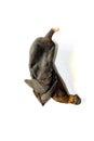 Old banana peel. Royalty Free Stock Photo