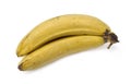 Old bananas Royalty Free Stock Photo