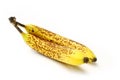 Old bananas Royalty Free Stock Photo