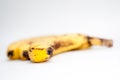 Old bananas Royalty Free Stock Photo