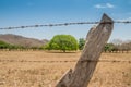 Old barbed wire fence Royalty Free Stock Photo