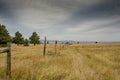 Old Barbed Wire Fence in Dry Field Royalty Free Stock Photo