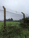 Old Barbed Wire Fence Protecting Farmland with Deteriorating Concrete and Lichen-Covered Posts Royalty Free Stock Photo