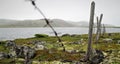 Barbed wire fence on the shore