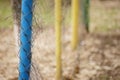 Old barbed wire fence, side view, selective focus Royalty Free Stock Photo