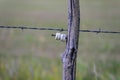 Old barbed wire fence stretched on weathered wood post Royalty Free Stock Photo