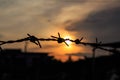 The old Barbed wire silhouette on sunset sky Royalty Free Stock Photo