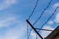 Old barbed wire on the wall. The blue sky is in the background Royalty Free Stock Photo