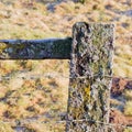 Old barbed wire on weathered fence post with lichen Royalty Free Stock Photo