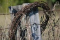 Old Barbwire on Fence