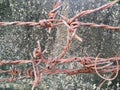 Old barbwire