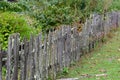 Old Bare Wood Picket Fence in the Country Royalty Free Stock Photo