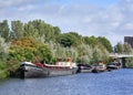 Old barges moored in a canal with green vegetation, Tilburg, Netherlands