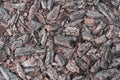 Old bark texture, decorative mulch from small pine fragments for mulching and flower bed design, selective focus Royalty Free Stock Photo