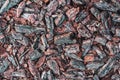 Old bark texture, decorative mulch from small pine fragments for mulching and flower bed design, selective focus Royalty Free Stock Photo