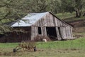 Old Swayback Barn and Sheep Royalty Free Stock Photo