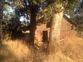 Old barn in Oregon Royalty Free Stock Photo