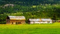 Old barn build from logs in a farmers field along the Coldwater Road between Hope and Merriit Royalty Free Stock Photo