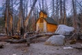 Old barn and burnt trees in Sierra mountains Royalty Free Stock Photo