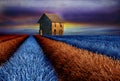 Old barn on colourful lavender field Royalty Free Stock Photo