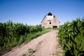 Old barn in the corn field Royalty Free Stock Photo