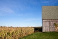 Old Barn, Corn Field and Blue Sky Royalty Free Stock Photo