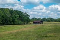 Old barn with cow on farmland Royalty Free Stock Photo