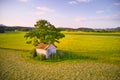 Old barn with damaged, collapsed roof under a large tree in rural landscape Royalty Free Stock Photo