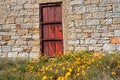 Old rural barn with colorful Namaqualand daisies, Northern Cape, South Africa Royalty Free Stock Photo