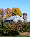 Old barn with fall color Royalty Free Stock Photo