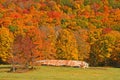 Old barn and Fall colors on hillside Royalty Free Stock Photo