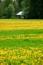 Old barn in a field Royalty Free Stock Photo