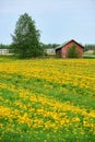 Old barn in a field Royalty Free Stock Photo