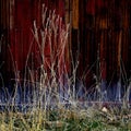 Old Barn in Field in Late Fall Autumn Brown Grass Weathered Red Wood Royalty Free Stock Photo