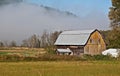 Old Barn on Foggy Field Morning