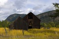 Old Barn in Golden field Royalty Free Stock Photo