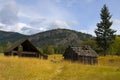 Old Barn in Golden field Royalty Free Stock Photo