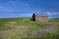 Old barn in green field. Royalty Free Stock Photo