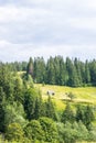 Old barn on a hill by the forest