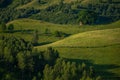 Old barn house on top of a hill under some big trees Royalty Free Stock Photo