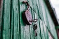 Old barn locks with keys hang on the painted green wood wall. Royalty Free Stock Photo