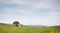 Old Barn in a Meadow in Colorado Royalty Free Stock Photo