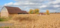 Old barn near corn field Royalty Free Stock Photo