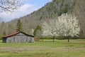 Barn & Pear Trees Royalty Free Stock Photo