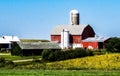 An old barn and a rustic Wisconsin dairy farm. Peaceful rural landscape. Royalty Free Stock Photo