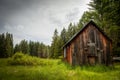 An old barn sits on the edge of a grassy green meadow in a dense forest